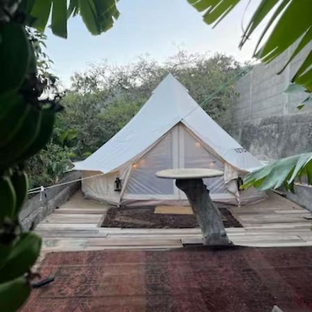 Отель Yurt In Avocado Garden Гуимар Экстерьер фото