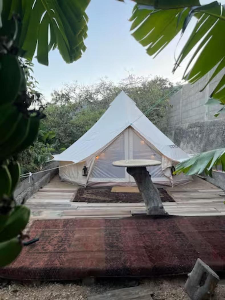 Отель Yurt In Avocado Garden Гуимар Экстерьер фото
