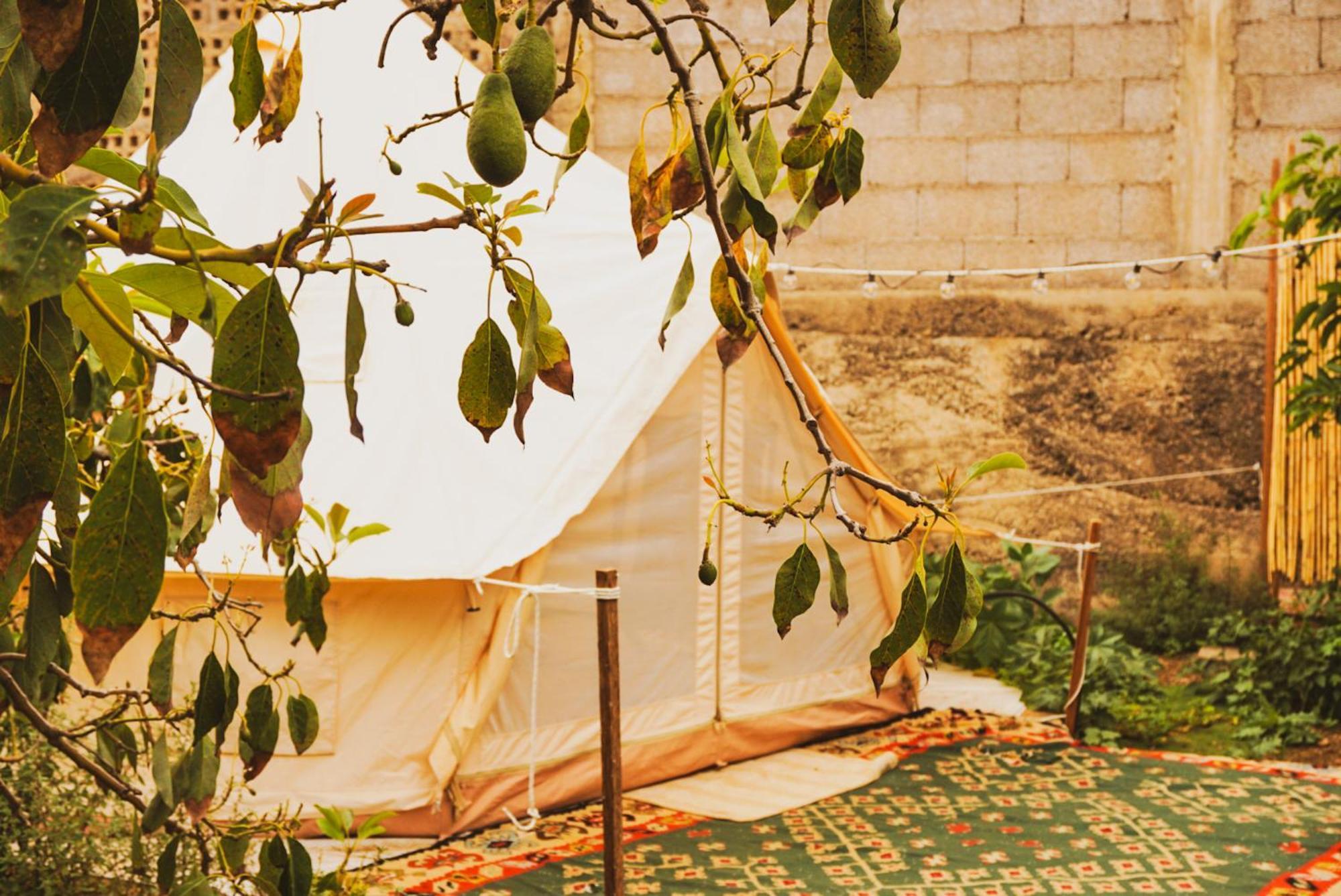 Отель Yurt In Avocado Garden Гуимар Экстерьер фото